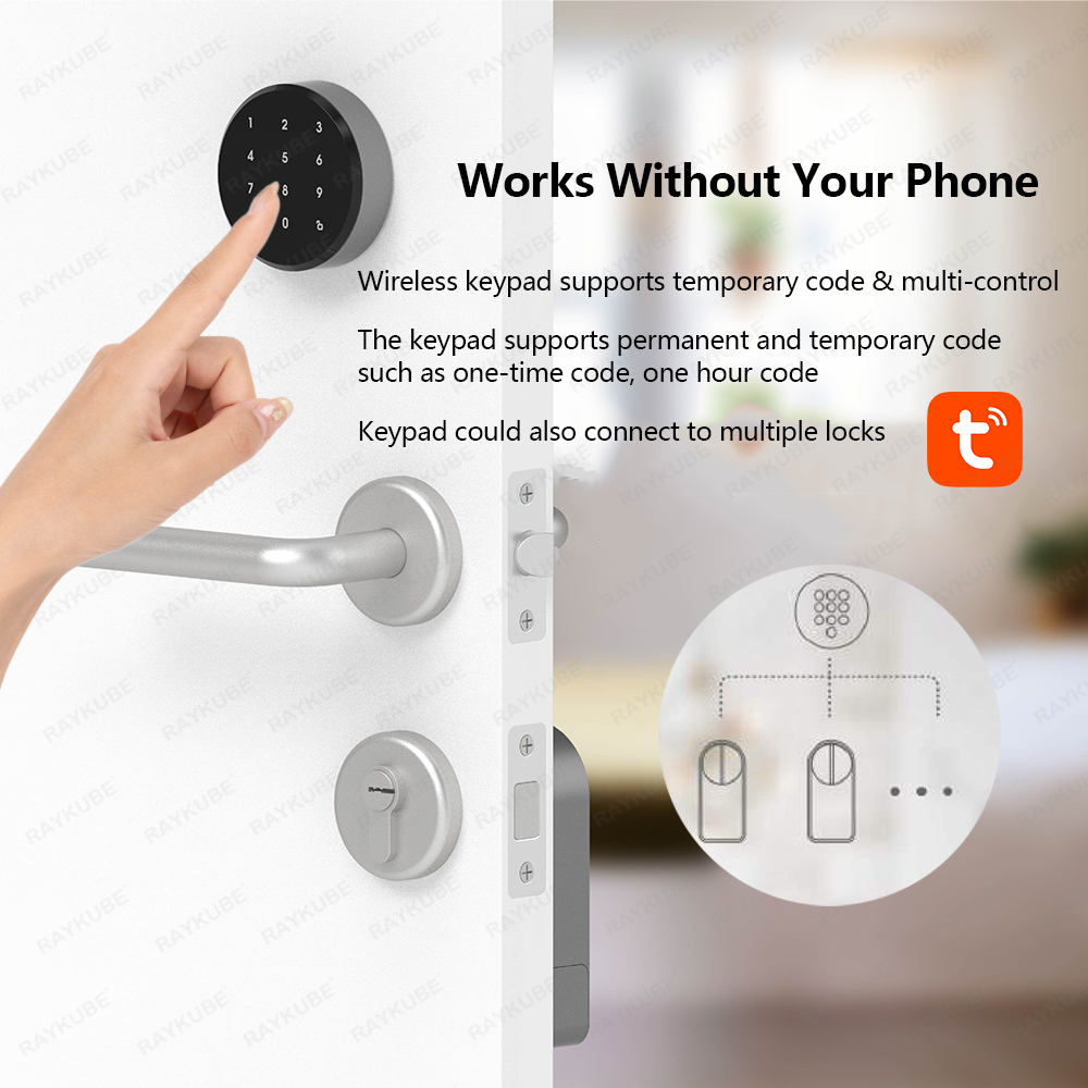 RAYKUBE A1 Pro Tuya BEL Smart  - Home Security Door Lock review and price